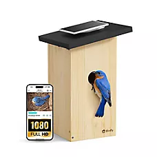 Birdfy Smart Birdhouse with Solar Panel AI Camera Bird House