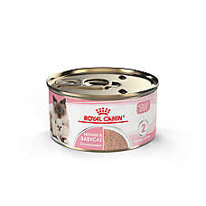 Royal Canin? Feline Health Nutrition Mother & Babycat Mousse in Sauce Wet Cat Food - 3 oz