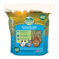 Oxbow Alfalfa Hay - Rabbit & Guinea Pig Hay - High Fiber for Digestive & Dental Health - 15oz-90oz
