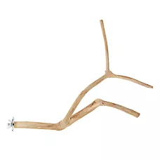 All Living Things® Java Wood Multi Bird Perch - Natural Wood Bird Cage Perch for Small Birds
