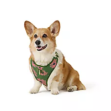Top Paw庐 Green Floral Adjustable Comfort Dog Harness