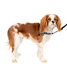PetSafe? Easy Walk Deluxe Dog Harness, No Pull Harness, Padded, Reflective, Multiple Sizes & Colors