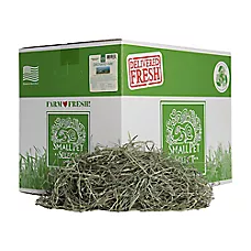 Small Pet Select Orchard Hay