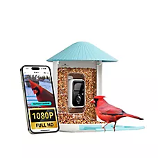 Birdfy Smart Feeder AI Camera Outdoor Bird Feeder