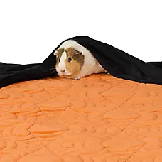 Thrills & Chills Small Pet Fleece Liner